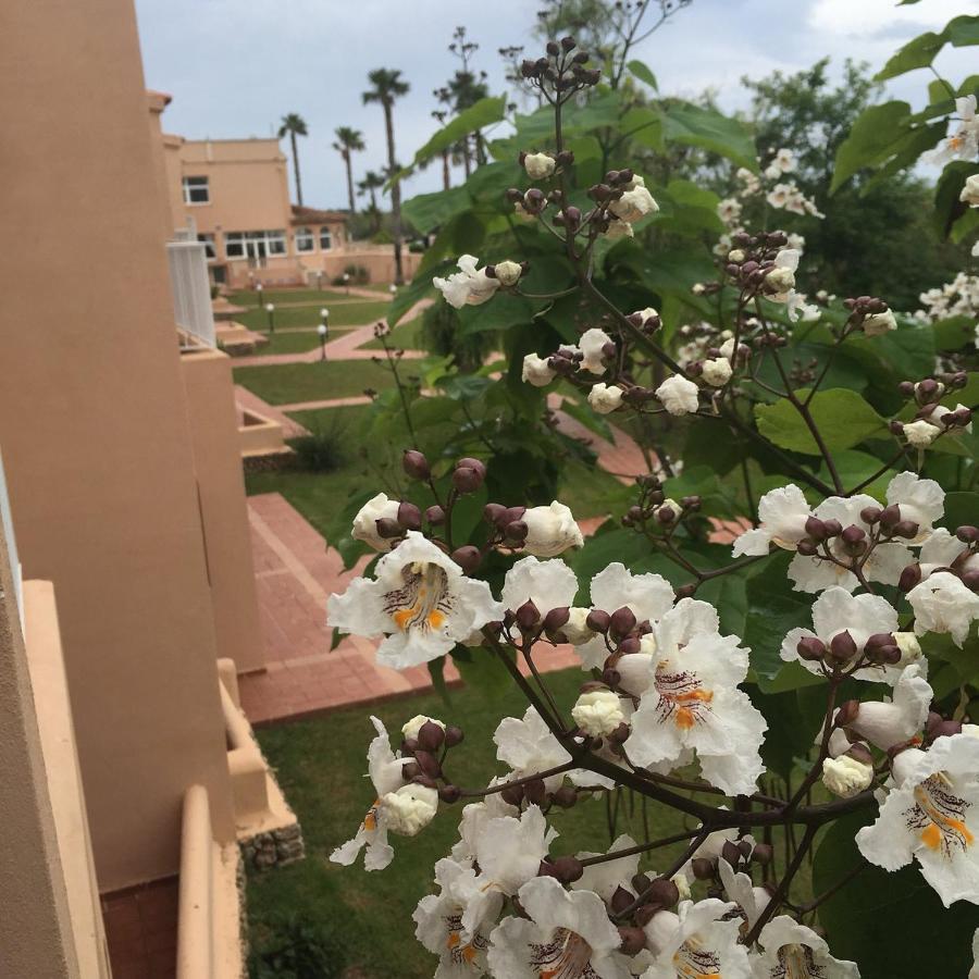 Arenas De Son Bou Hotel Bagian luar foto
